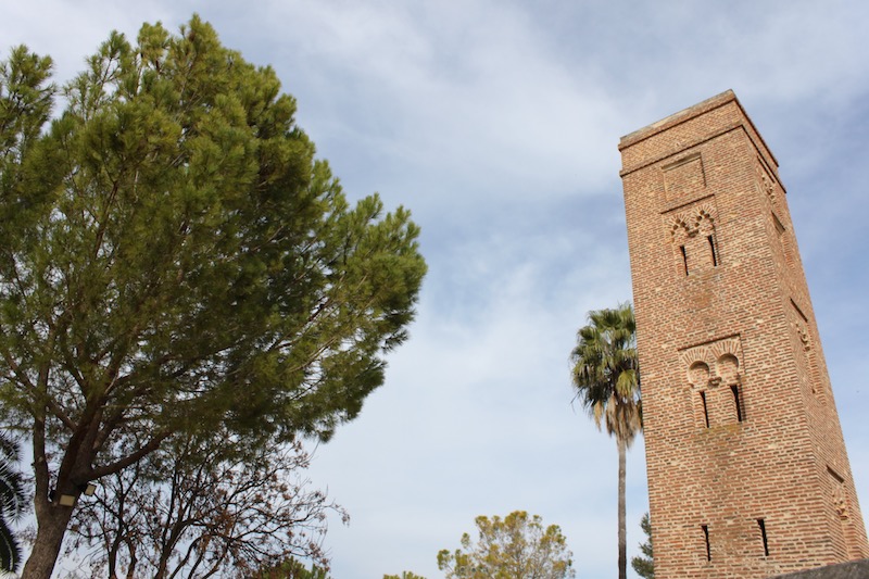 El término Mitación