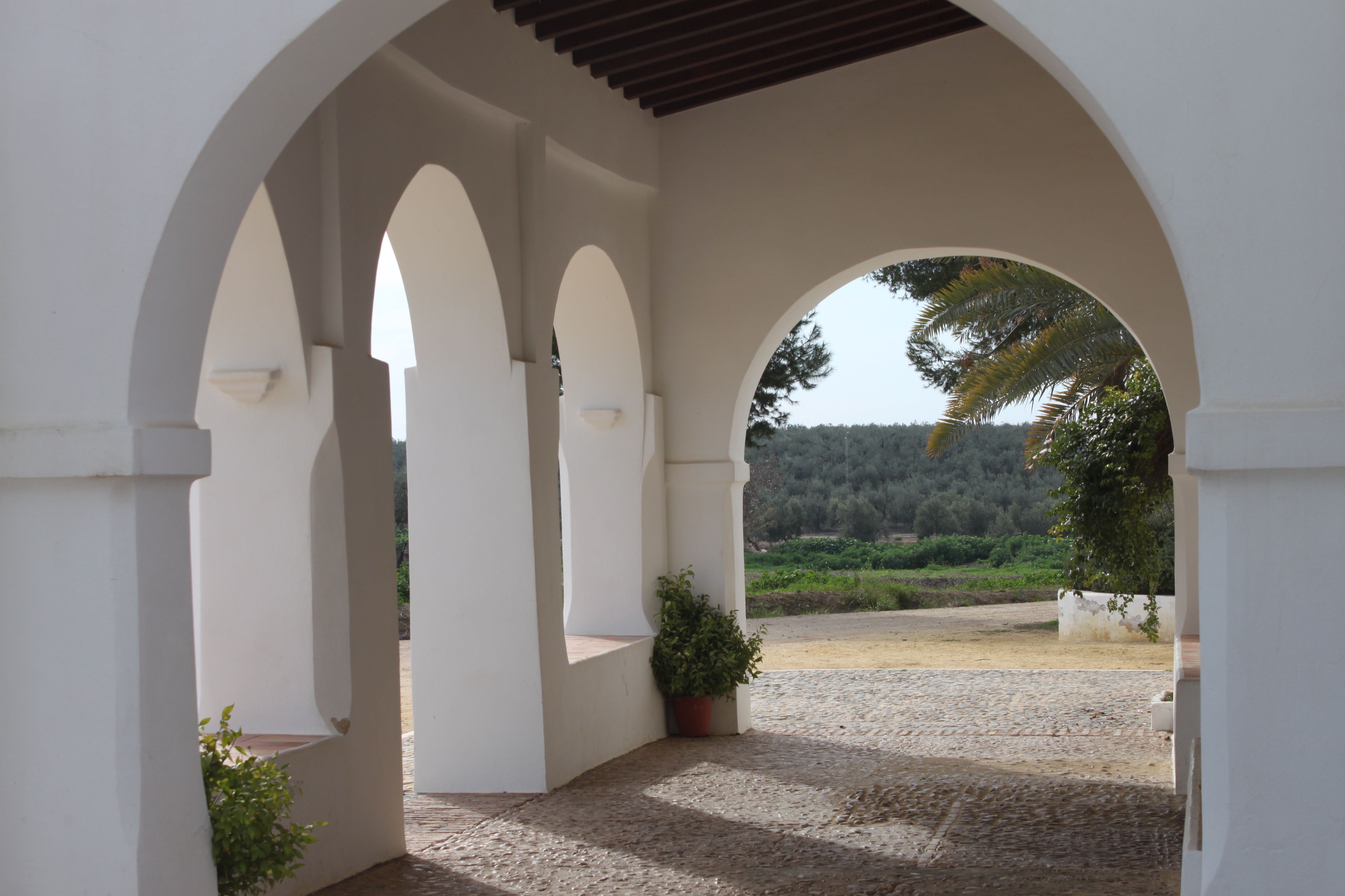 El término Cuatrovitas